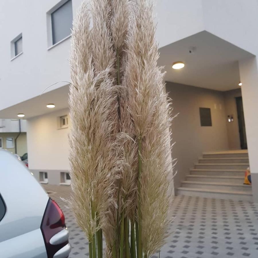 Apartment Kap *